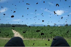 Floaters Pada Mata